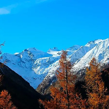 Della Miniera